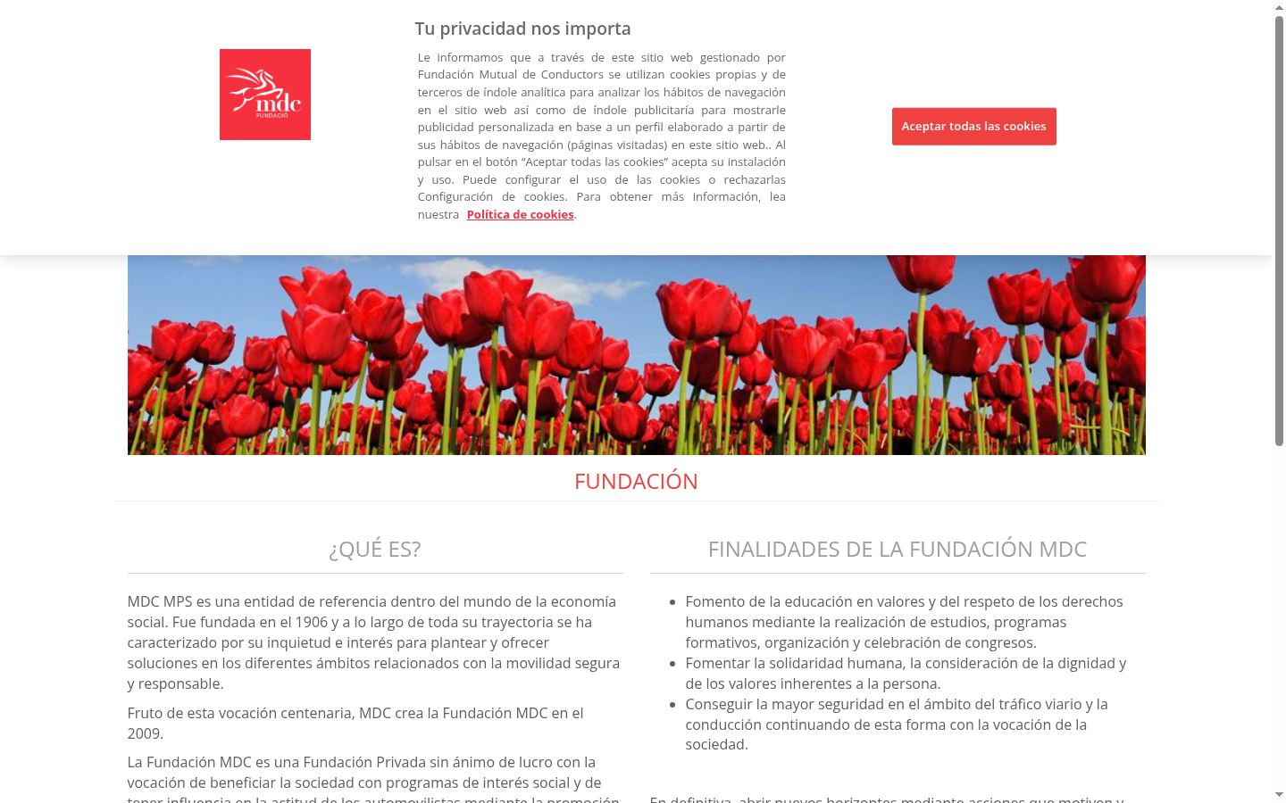 Captura de pantalla del banner de consentimiento mostrado antes de cualquier interacción