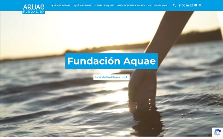Screenshot of fundacionaquae.org