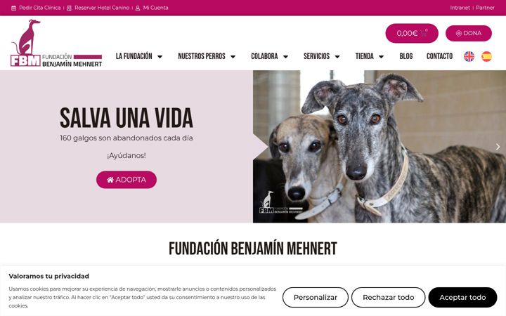 Screenshot of fundacionbm.com