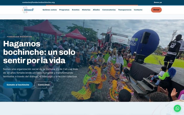 Screenshot of fundacionbochinche.org