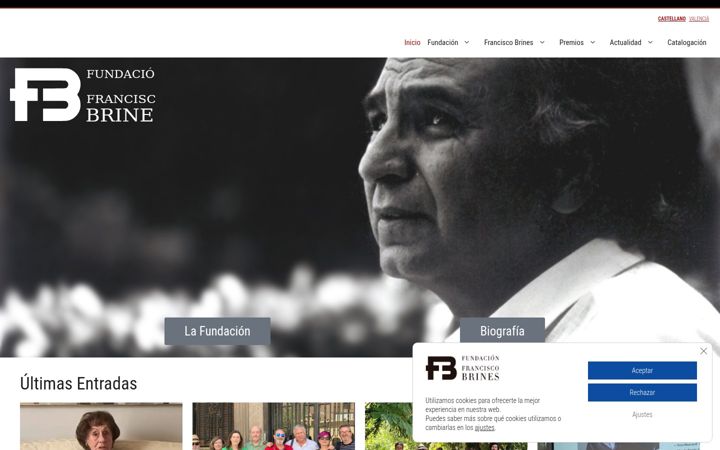 Screenshot of fundacionbrines.org
