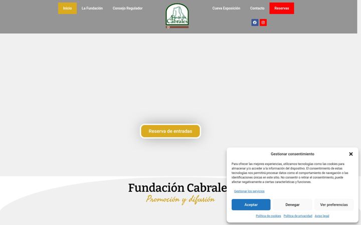 Screenshot of fundacioncabrales.com