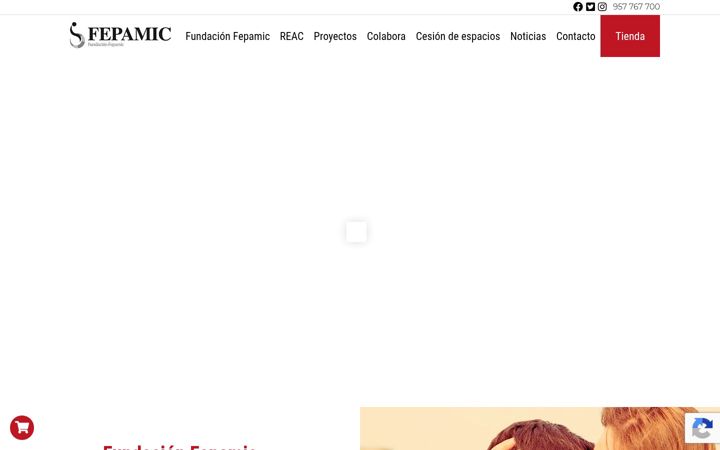 Screenshot ta' fundacionfepamic.org