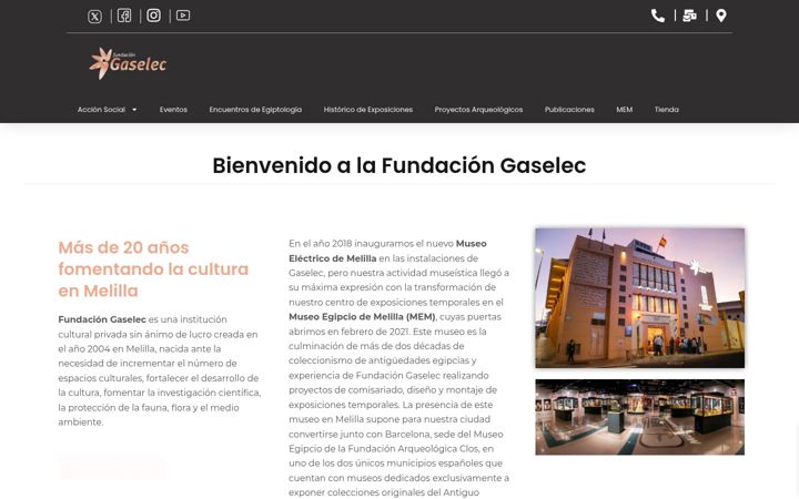 Captură de ecran a fundaciongaselec.es