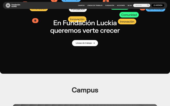 Screenshot of fundacionluckia.com