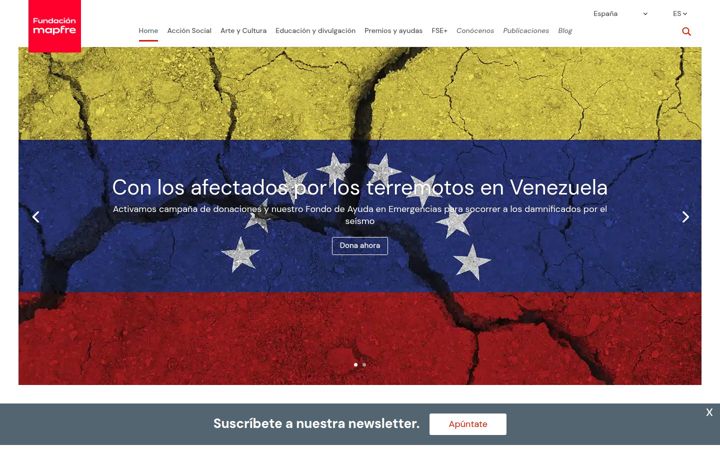 Screenshot of fundacionmapfre.org