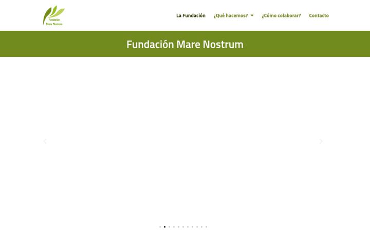 Screenshot of fundacionmarenostrum.org