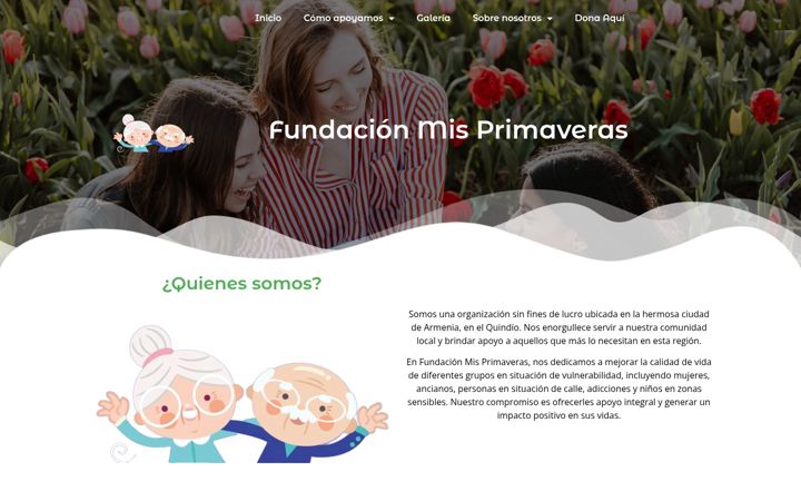 Screenshot of fundacionmisprimaveras.com