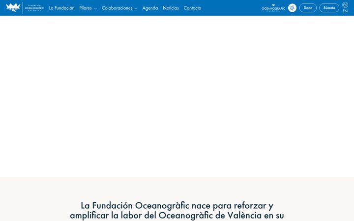 Képernyőkép: fundacionoceanografic.org