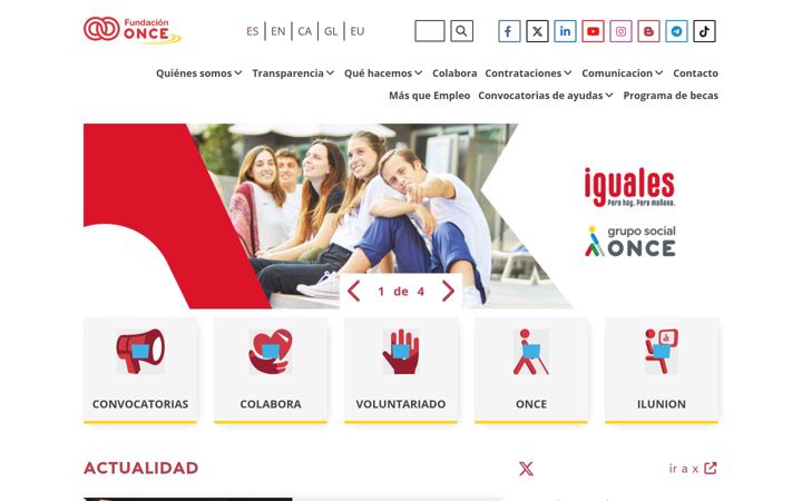 Screenshot of fundaciononce.es