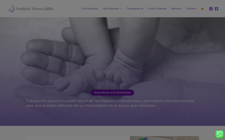 Screenshot of fundacionteresagallifa.com