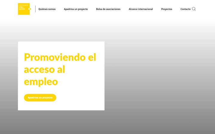 Screenshot of fundacionvinci.es