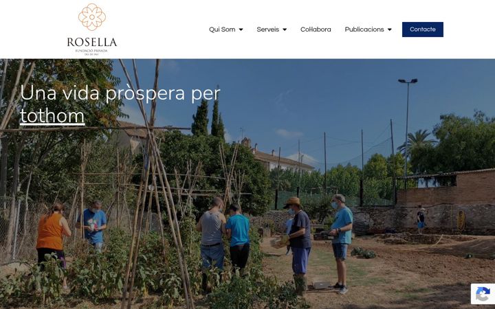 Screenshot of fundacioprivadarosella.com
