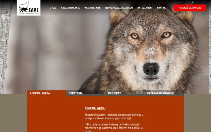 Screenshot of fundacja-save.pl
