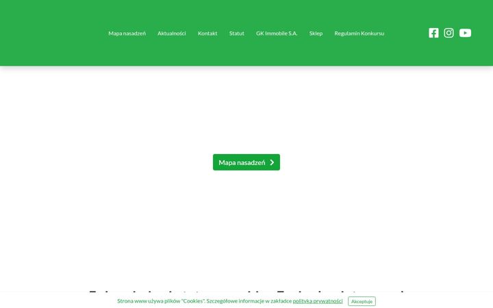 Screenshot of fundacjaimmo.org