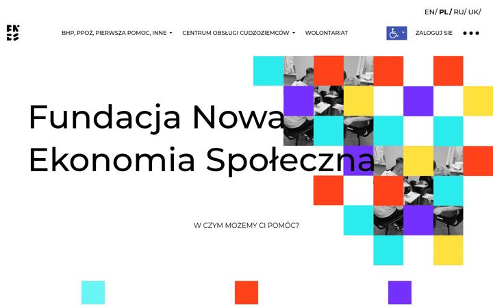 Screenshot of fundacjanes.org.pl