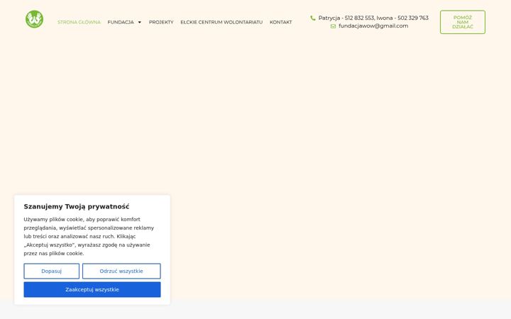 Screenshot of fundacjawow.pl