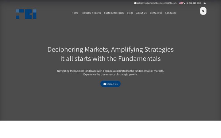 Screenshot of fundamentalbusinessinsights.com