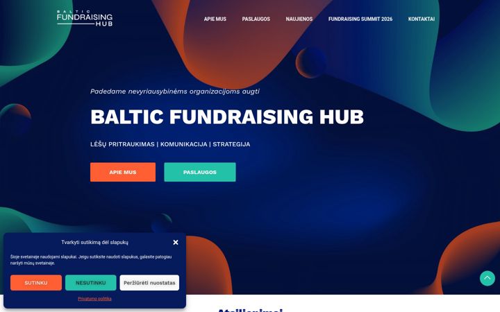 Snímek obrazovky fundraisinghub.lt