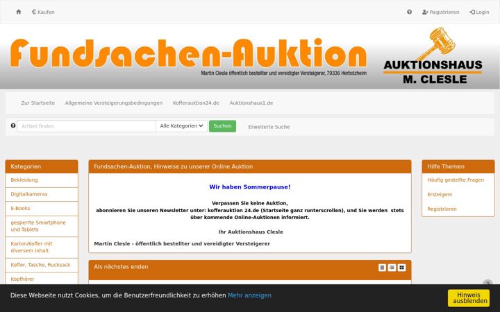 Screenshot of fundsachen-auktion.de