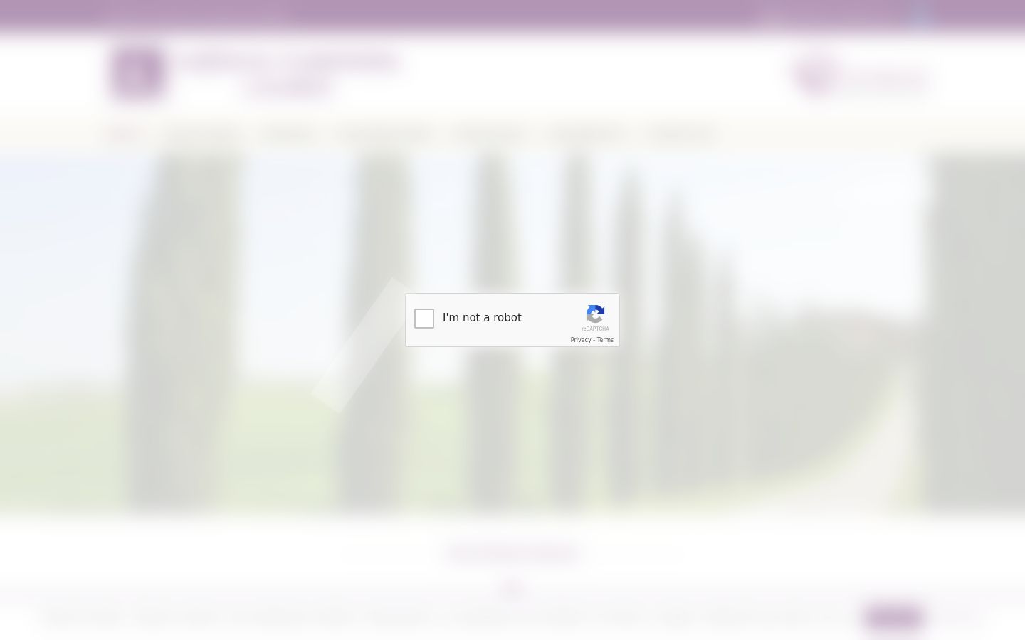 Screenshot van de toestemmingsbanner zoals getoond vóór enige interactie