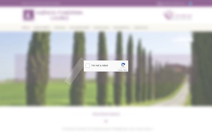 Screenshot van funerariadeloures.pt