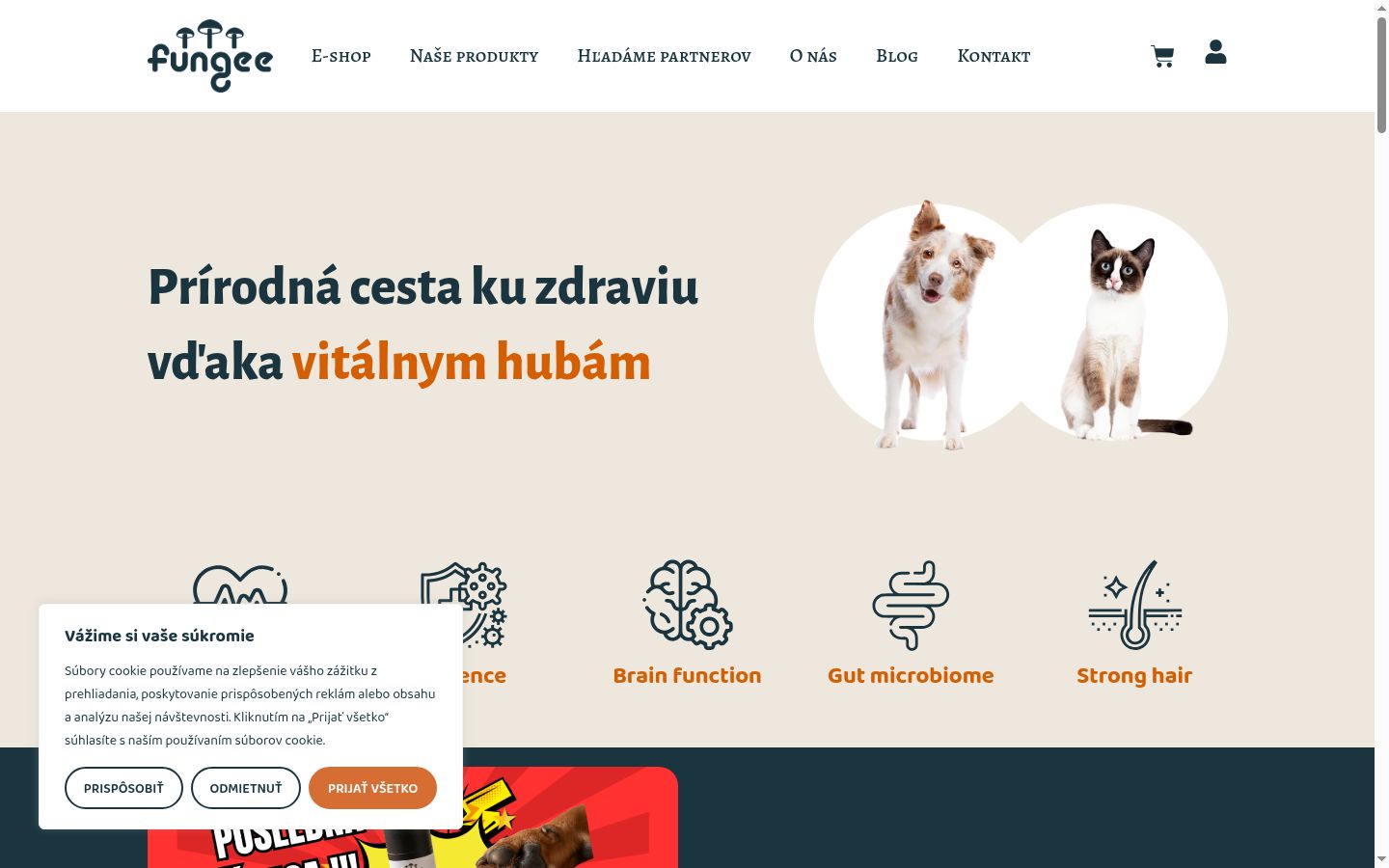 Snímek obrazovky baneru souhlasu zobrazeného před jakoukoli interakcí