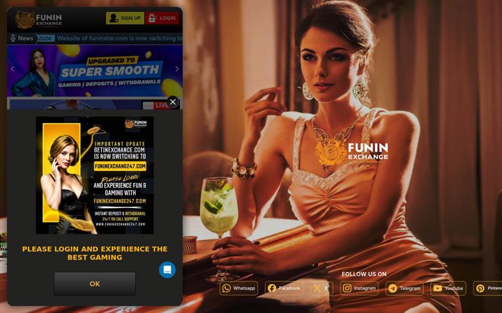Zrzut ekranu funinexch.com