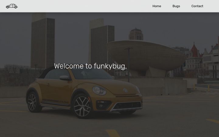 Snimka zaslona za funkybug.co.uk