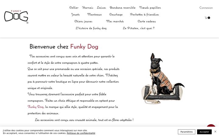 Screenshot of funkydog.fr