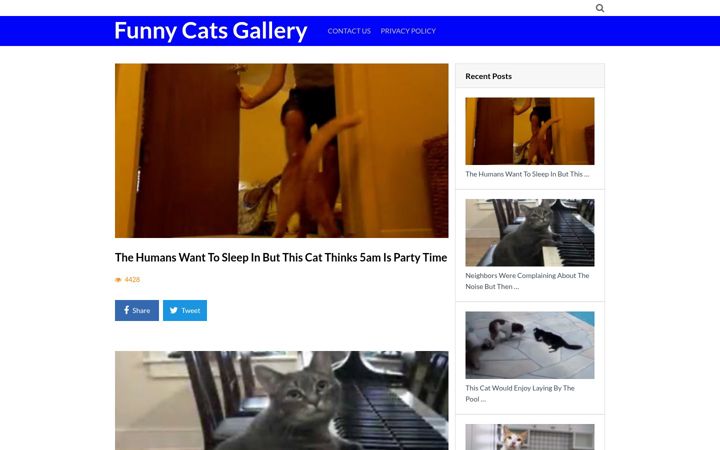 Screenshot of funnycatsgallery.com