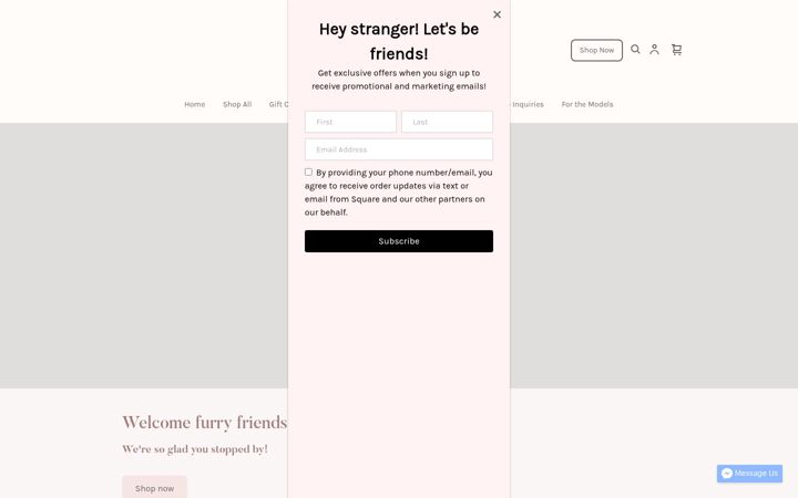 Screenshot of furandfriendsco.com
