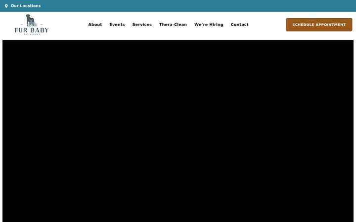 Screenshot of furbabypetresort.com