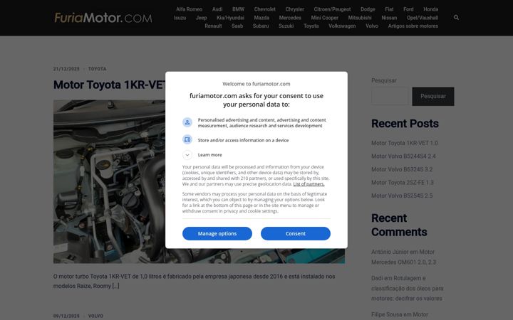 Screenshot of furiamotor.com