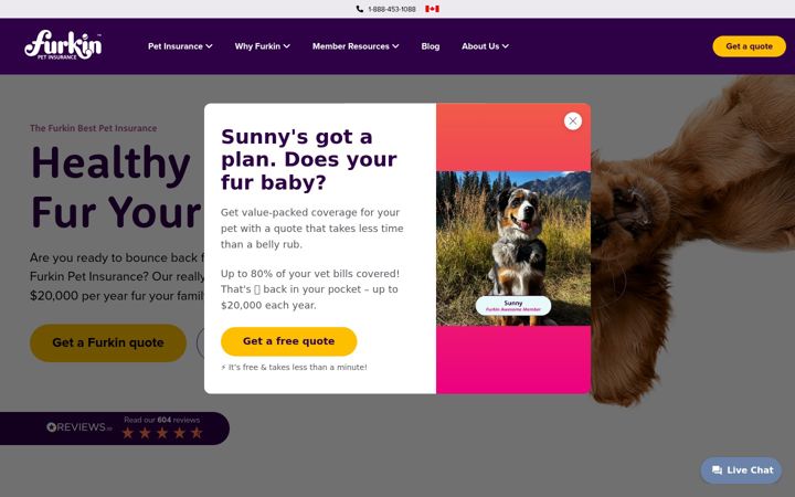 Screenshot of furkin.com