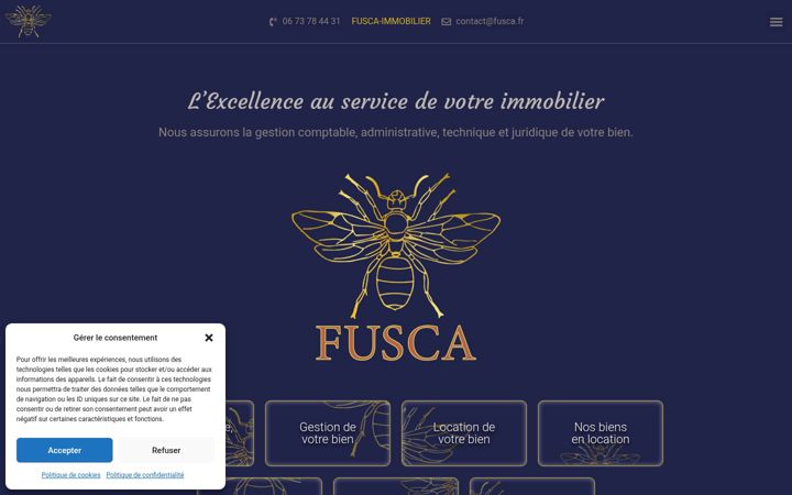 Screenshot of fusca.fr