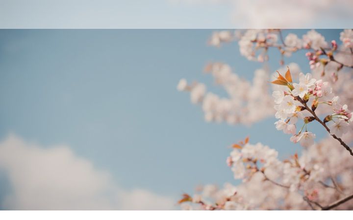 Screenshot of fuss-vital-longerich.de