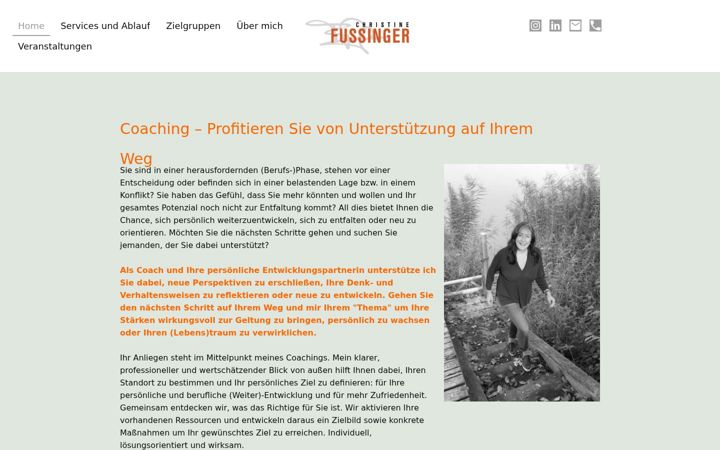 Screenshot of fussinger.com