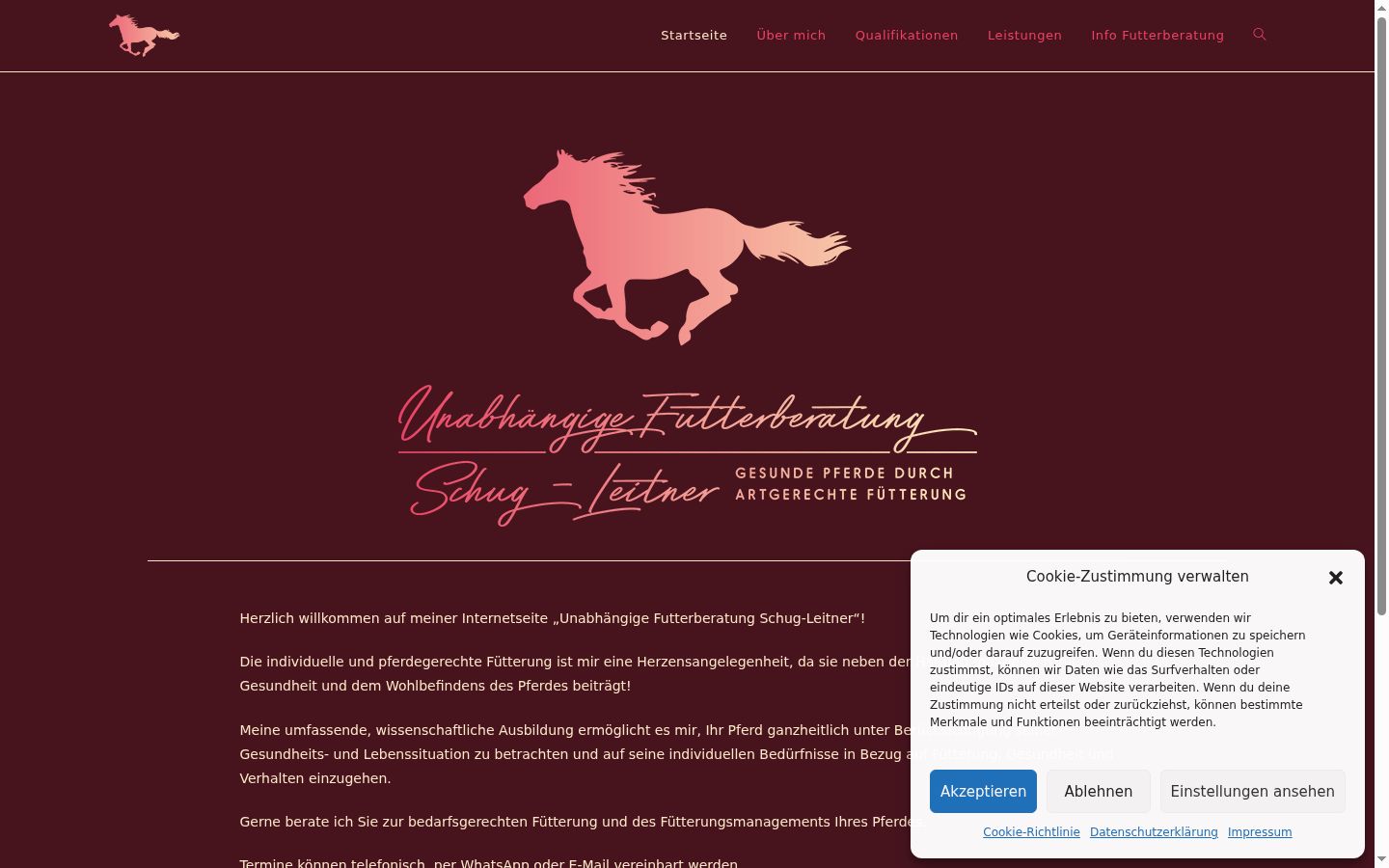 Screenshot van de toestemmingsbanner zoals getoond vóór enige interactie