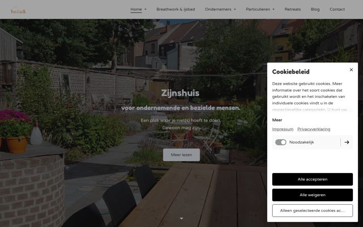 Screenshot του futur-gent.be