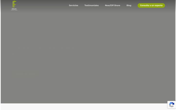 Screenshot of future.com.mx