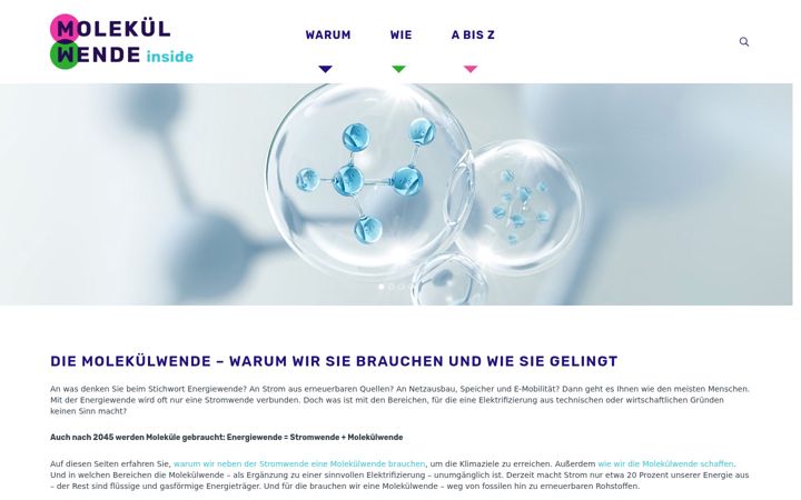 Screenshot of futurefuels-experience.de