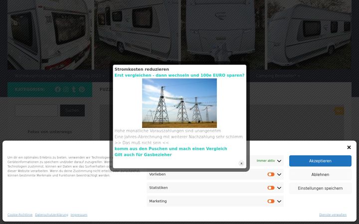 Screenshot of fuzzymobil-camping.de