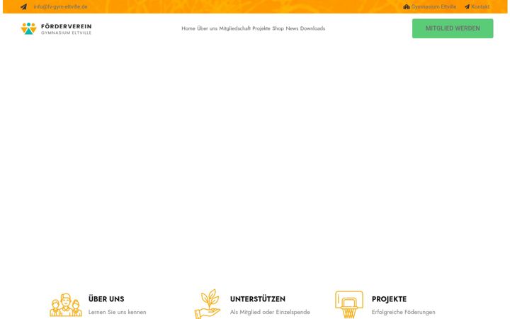 Screenshot ta' fv-gym-eltville.de
