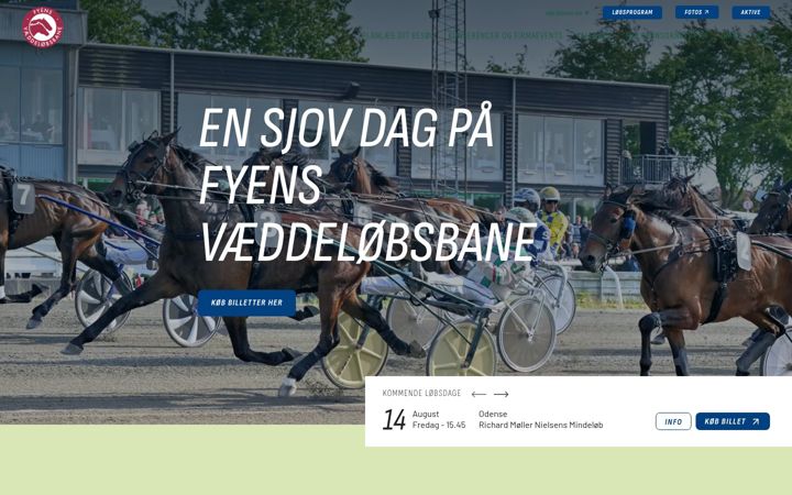 Screenshot of fvb-odense.dk