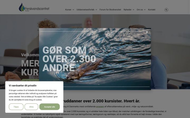 Screenshot of fvc-kursus.dk
