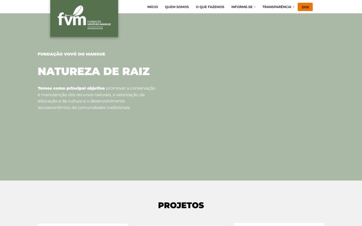Screenshot of fvm.org.br