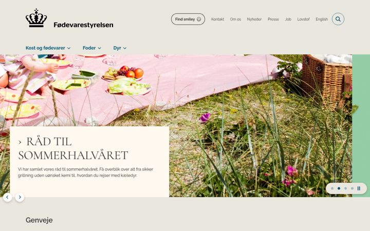 Screenshot of fvst.dk