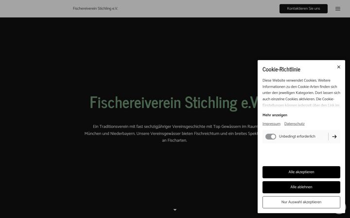 Screenshot of fvsti.de