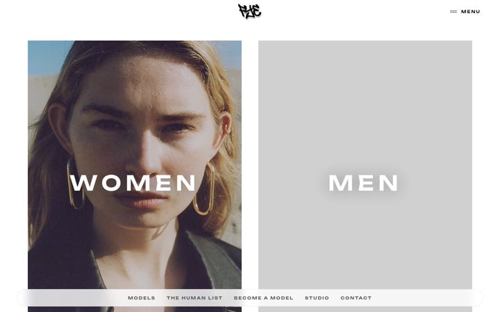 Skärmbild av fyemgmt.com